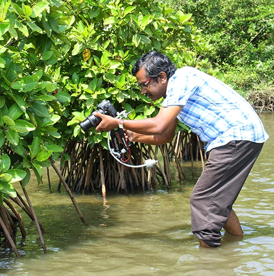 Mathematics Curriculum Expert | Image of Krishnadas Paleri